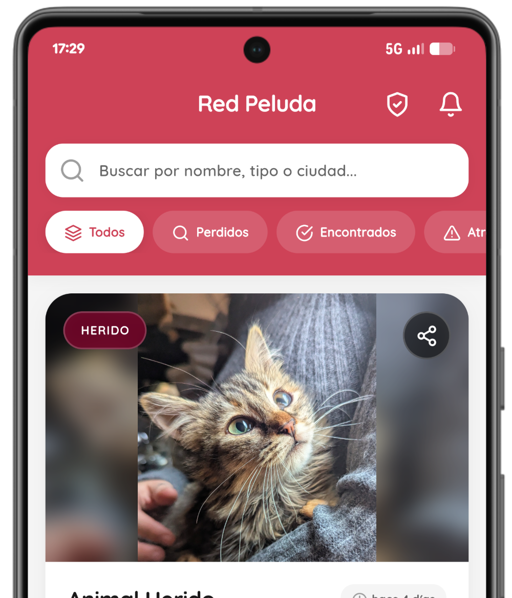 App Red Peluda Mockup