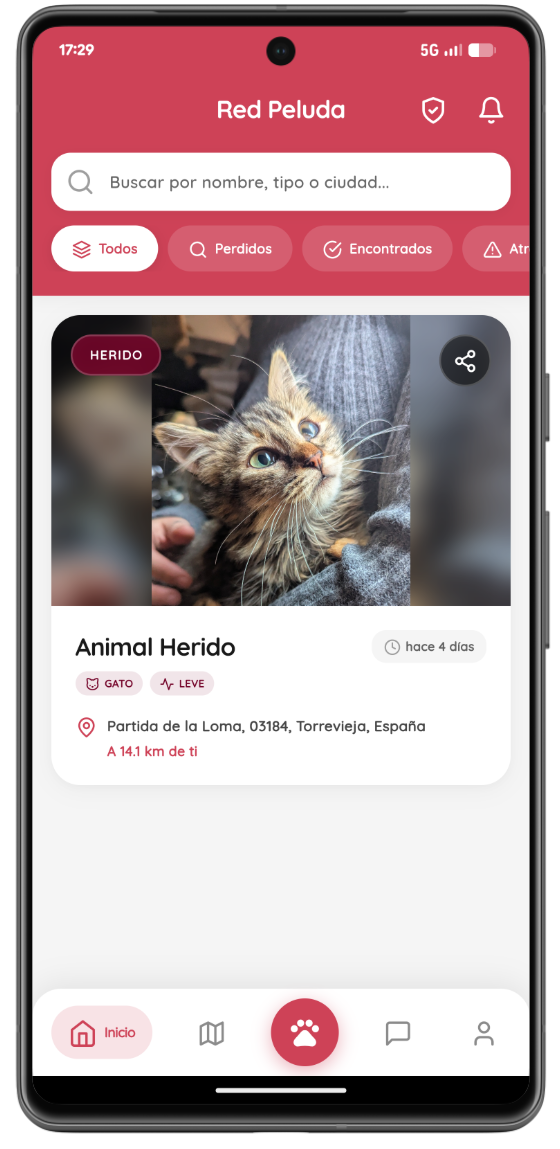 App Red Peluda